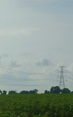 IMG-20230401-WA0011